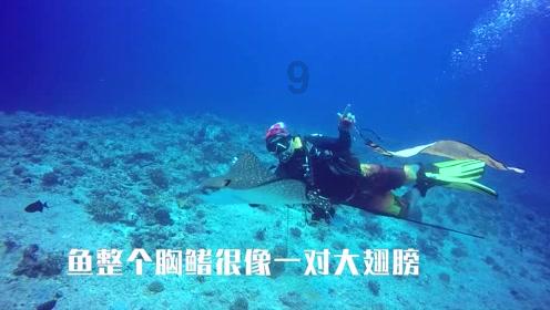 三大股指翻红，恒生指数涨2.7%，港股消费ETF涨3.81%
